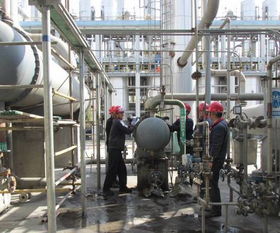 龔臘梅 環保公司有機廠全面 打響 2017年大檢修技改 攻堅戰